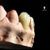 Oentoe apik dental laboratory lab gigi indonesia jakarta bekasi