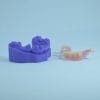 Acrylic Denture